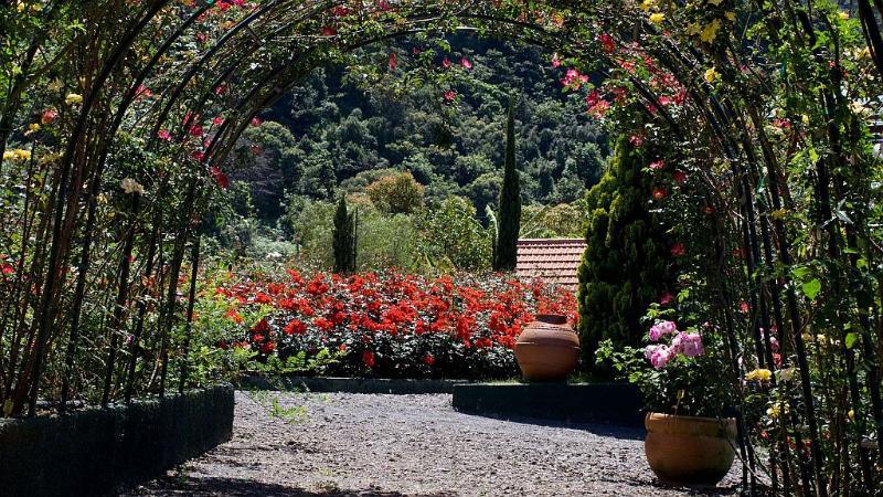 Pestana Quinta do Arco Nature&Rose Garden Hotel Arco de São Jorge Exterior foto